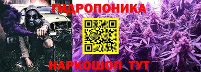 ГАЛЛЮЦИНОГЕННЫЕ ГРИБЫ Заводоуковск